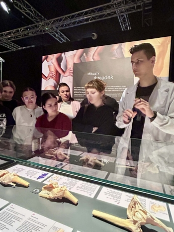 e1780ed7-de19-496d-9507-c1f7f84d8bae