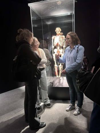 aeb95280-462b-4571-8ed2-13edd70cfeb8